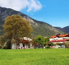 Yeşil Üzümlü Kiralık Villa & Uygun Villa Kiralama | Süper Villam