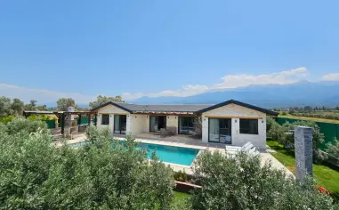 Villa Olive Verde